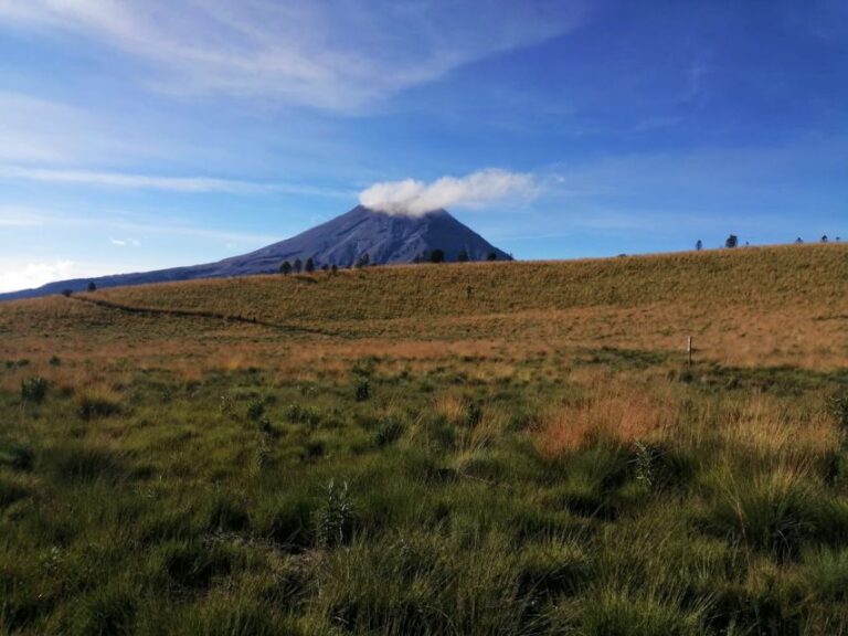 Mexico City: Guided Volcano Trek With Lunch
