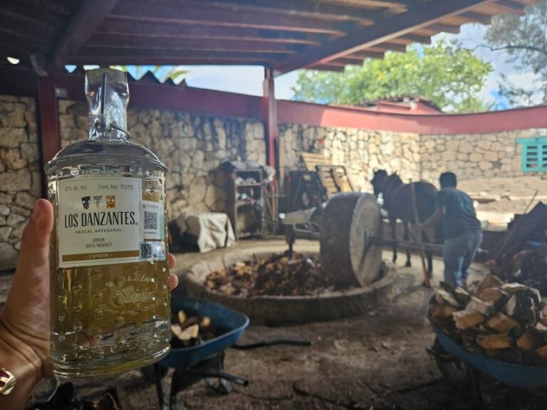 Mezcal Day Premium Family Distilleries Tour With Lunch
