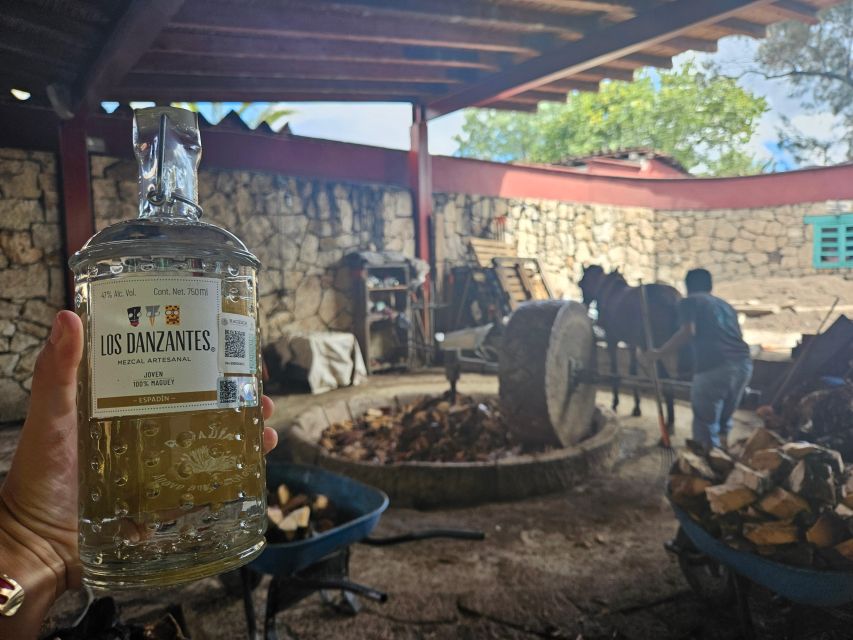 1 mezcal day premium family distilleries tour with lunch Mezcal Day Premium Family Distilleries Tour With Lunch