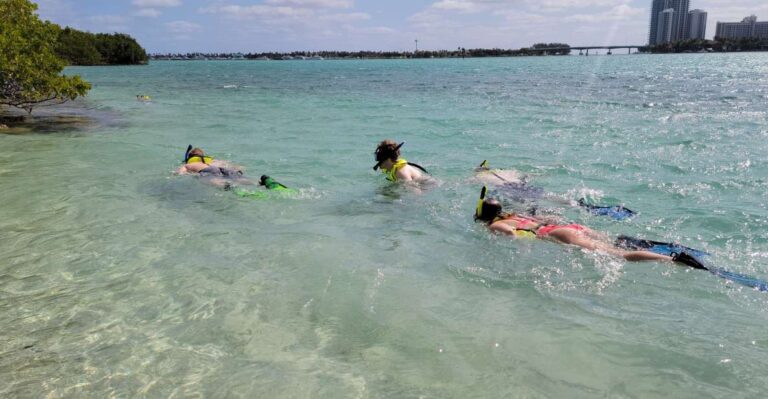 Miami: Island Snorkeling by XXL Stand Up Paddle Board