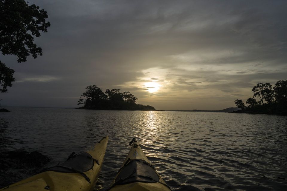1 miami night biscayne bay aquatic preserve kayak tour Miami: Night Biscayne Bay Aquatic Preserve Kayak Tour