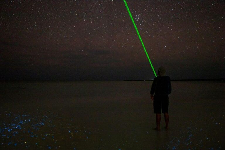 Midnight Holbox: Bioluminescence Kayaking Experience
