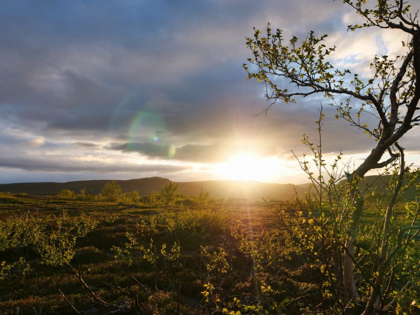 1 midnight sun hike to the shores of lake inari Midnight Sun Hike to the Shores of Lake Inari