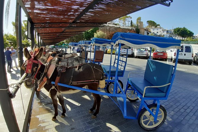 Mijas Pueblo Group Walking Tour - Cancellation Policy