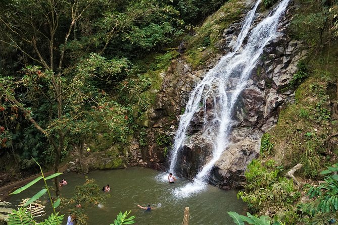Minca, Waterfalls and Coffee Farm Tour From Santa Marta