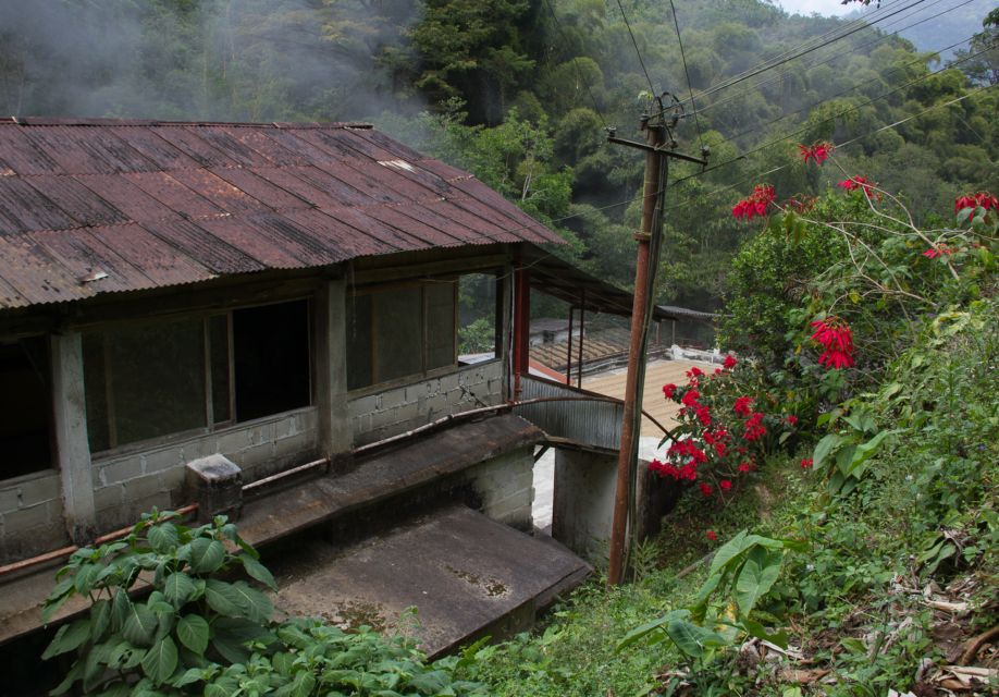 1 minca waterfalls coffee farm tour Minca, Waterfalls & Coffee Farm Tour