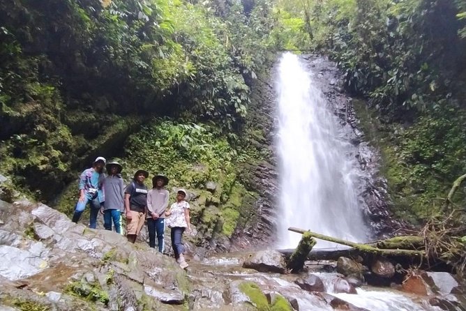 Mindo Cloud-Forest Full Day With Birding, Waterfalls, Zip-Line, Chocolate - Mindo Cloud-Forest Tour Highlights