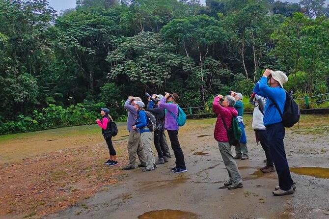 MINDO CLOUD FOREST: Nature & Adventure – Flexible Private Day Tour