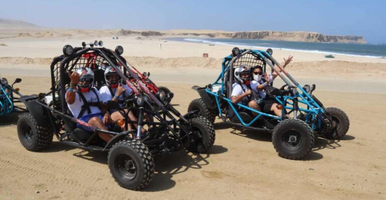Minibuggy Adventure and Visit to the Paracas Reserve