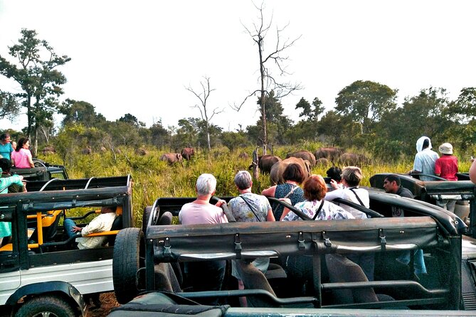 Minneriya / Kaudulla National Park Jeep Safari
