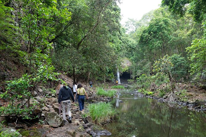 1 minyon falls explore the rainforest Minyon Falls: Explore the Rainforest