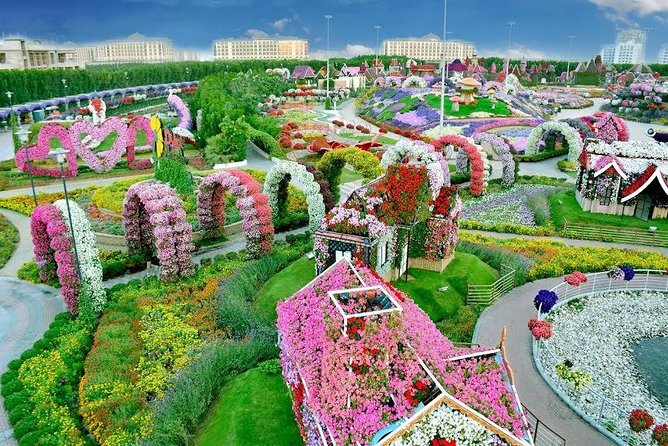 Miracle Garden Ticket Dubai With Shared Transfers