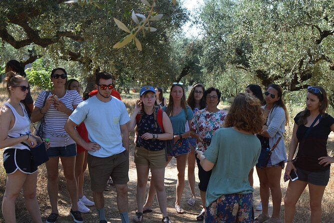 Miraculous Olive Oil Tasting Experience 5-Hour Tour