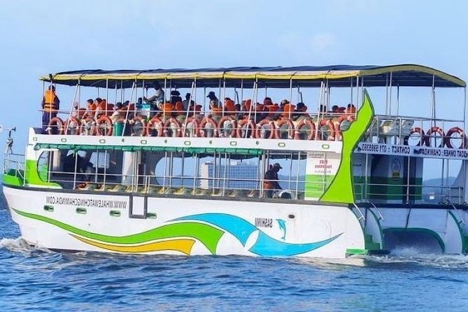Mirissa Guided Dolphin and Whale Watching Tour  – Galle
