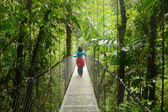 Mistico Arenal Hanging Bridges – Fruit & Guided Walk