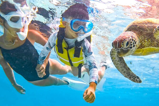 Miyako Two Activities in Half Day SUP and Sea Turtle Snorkeling