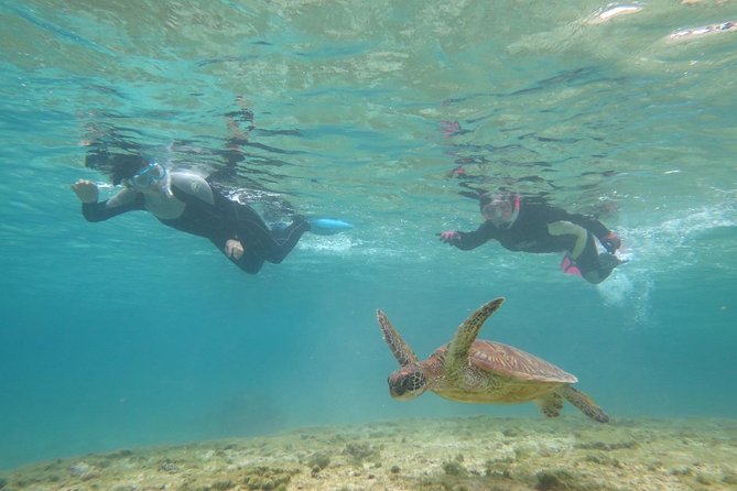 1 miyakojima snorkel private tour from 2 people lets look for sea turtles snorkel tour that can be [Miyakojima Snorkel] Private Tour From 2 People Lets Look for Sea Turtles! Snorkel Tour That Can Be