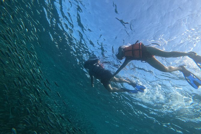 Moalboal Snorkeling and Kawasan Falls Canyoning Private Tour  – Cebu