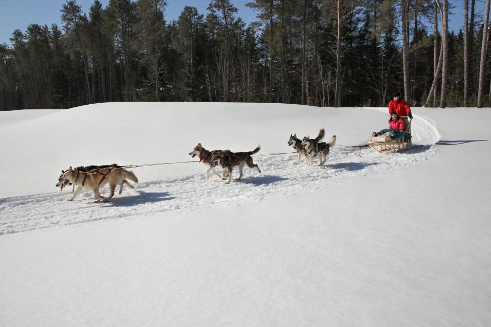 1 mont tremblant dogsledding Mont-Tremblant: Dogsledding Experience