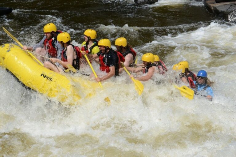Mont-Tremblant: Half-Day White Water Rafting