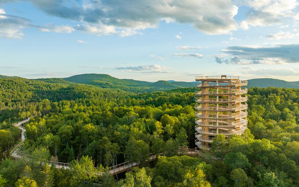 Mont-Tremblant: Laurentians Treetop Observatory and Walk - Experience Highlights
