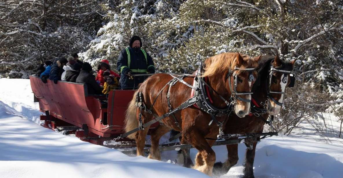 Mont-Tremblant: Sleigh Ride W/ Storytelling & Hot Chocolate - Experience Details