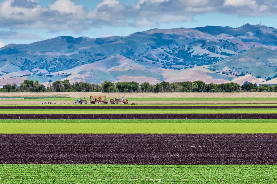 Monterey County Salinas Valley Farm Tour - Tour Details