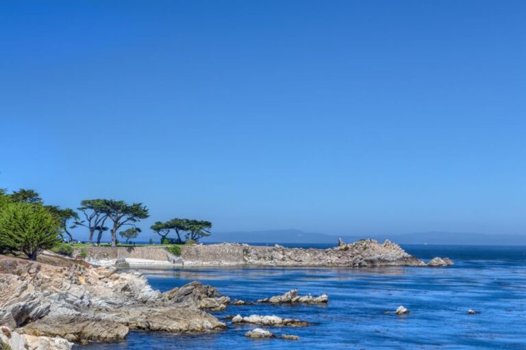 Monterey Peninsula Sightseeing Tour Along the 17 Mile Drive