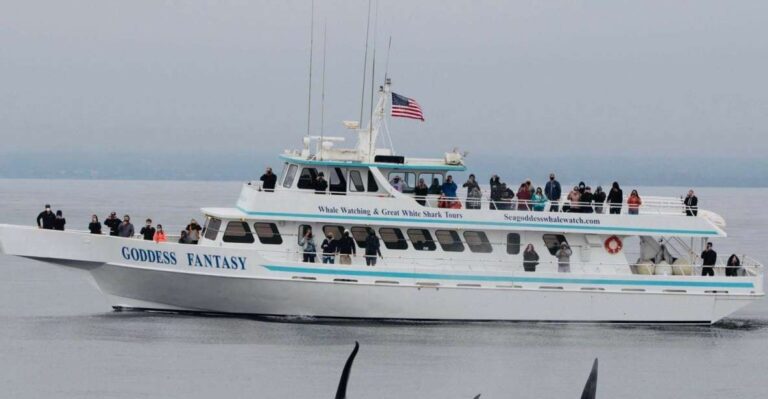 Monterey: Whale Watching Cruise