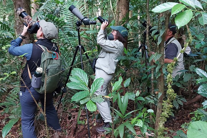 Monteverde Birdwatching Experience