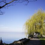 1 montreux capture the most photogenic spots with a local Montreux: Capture the Most Photogenic Spots With a Local