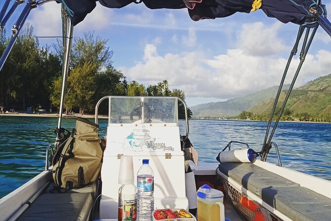 Moorea Half Day Private Tour With Snorkeling and Cruising the Lagoon