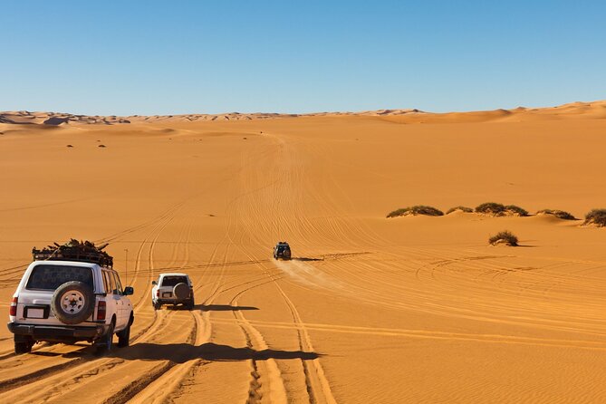 Morning Desert Safari Plus Quad Bike, Sandboard and Camel Ride