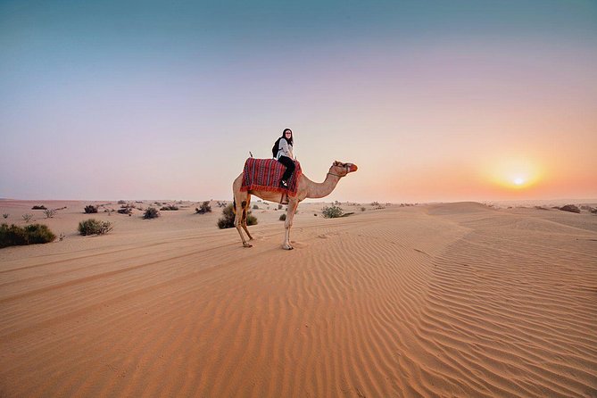 Morning Desert Safari With Quad Bike, Sand Boarding & Camel Ride