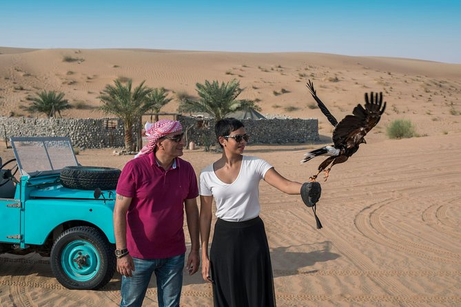 1 morning falconry nature desert safari with transfers from dubai Morning Falconry & Nature Desert Safari With Transfers From Dubai