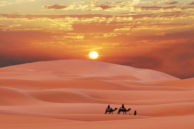 Morning Quad Biking & Red Sand Desert Safari , Camel Ride, Sand Boarding