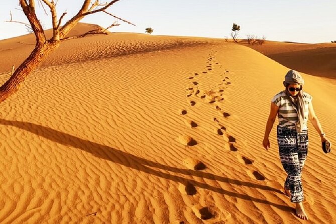 Morocco Desert Trek Dromedary Mhamid Dunes