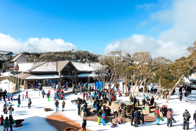 1 mount buller 1 day guided tour Mount Buller 1 Day Guided Tour