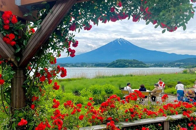 Mount Fuji Private Day Tour With English Speaking Driver