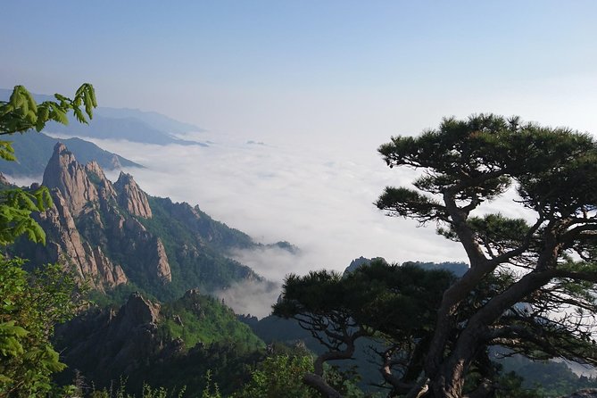 Mount Seoraksan, Temple, Fortress: Private Day Tour From Seoul