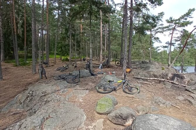 Mountain Biking in Stockholm Forests for Experienced Riders - Experience Level Required