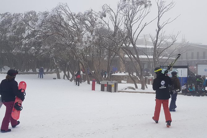 Mt Buller Day Trip From Melbourne
