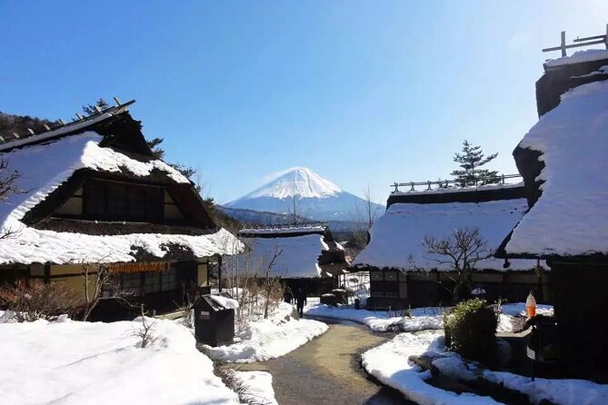 Mt.Fuji Tour: 3-Parks & The Healing Village in Fujiyoshida, Japan