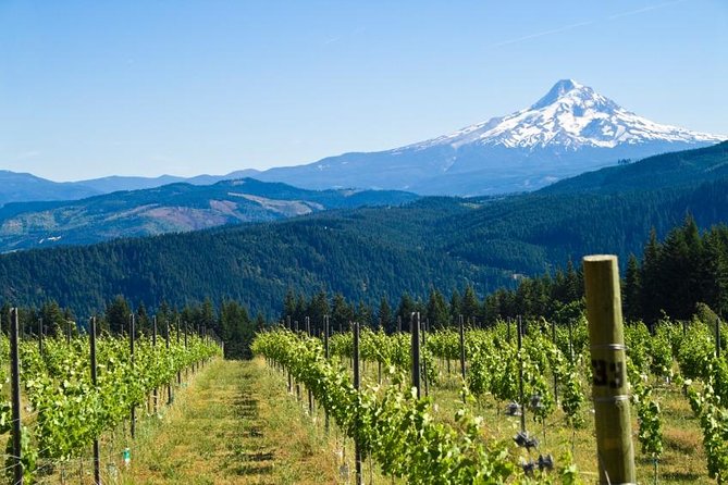 Mt. Hood and Columbia River Gorge Full-Day Tour From Portland