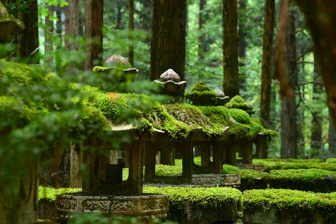 Mt. Koya 8hr Tour From Osaka: English Speaking Driver, No Guide