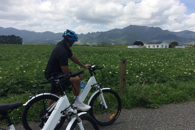 Mt. Te Aroha Bike Hire & Tours