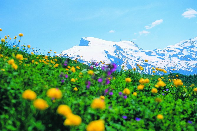 Mt Titlis Glacier Paradise Tour From Zurich With Lucerne