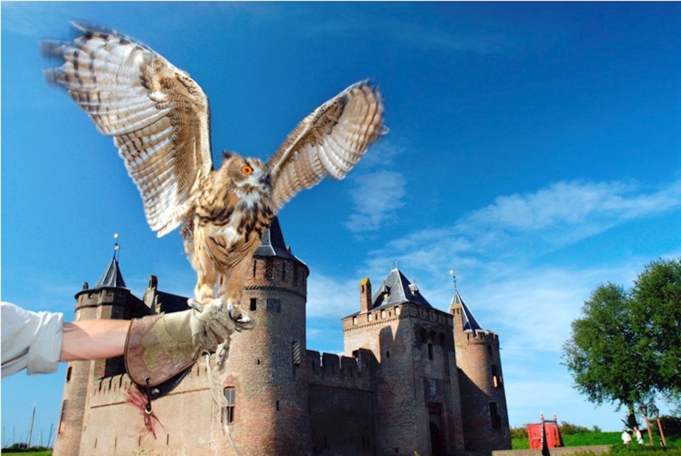 1 muiden entry ticket to muiderslot castle Muiden: Entry Ticket to Muiderslot Castle
