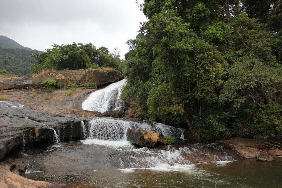 Munnar Tea Trek Elephant Land Safari