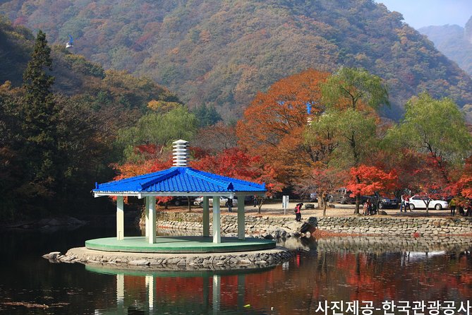 1 naejangsan national park autumn foliage tour from busan Naejangsan National Park Autumn Foliage Tour From Busan